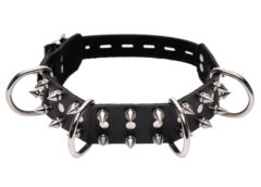 Strict Leather Spiked Dog Collar
