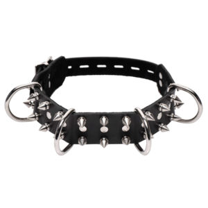 Strict Leather Spiked Dog Collar