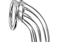 The Bird Cage Chastity Device - Large