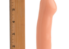 Beginner Brad 6.5 Inch Dildo with Suction Cup