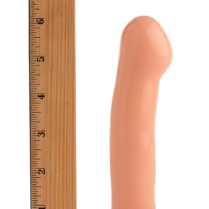 Beginner Brad 6.5 Inch Dildo with Suction Cup