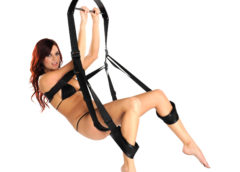 Trinity 360 Degree Spinning Sex Swing