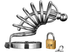 Asylum 6 Ring Locking Chastity Cage