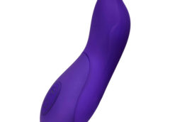 Royal Purple Silicone Pointer Vibe