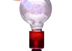 Zeus Violet Wand Light Bulb Adapter Accessory