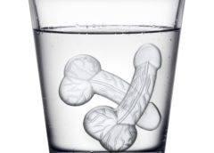 Chilly Willies Penis Ice Cube Tray