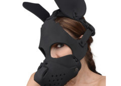 Neoprene Dog Hood with Removable Muzzle