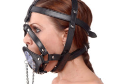 Plug It Up Leather Head Harness with Mouth Gag