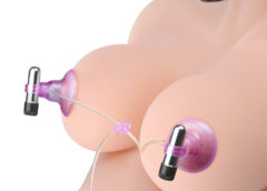 Vibrating Nipple Suckers