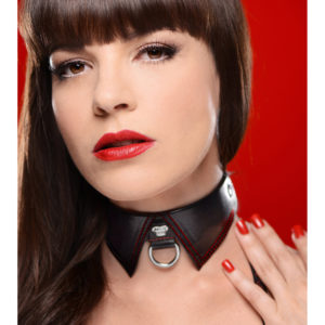 Crimson Tied Regal Sub Collar