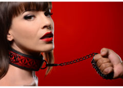 Crimson Tied Collar with Leash