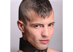 Straight Up Padded Locking Posture Collar