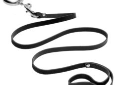 Lead Them by the Cock Premium Penis Leash