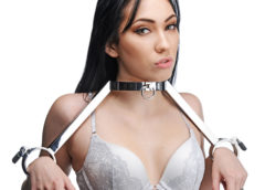 At Your Mercy Stainless Steel Neck to Wrist Restraints