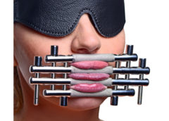 Stainless Steel Lips and Tongue Press