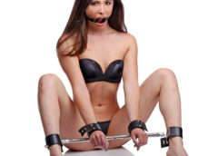 Unrestricted Access Spreader Bar Kit with Ring Gag