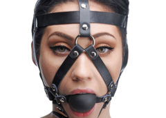 Leather Head Harness with Ball Gag