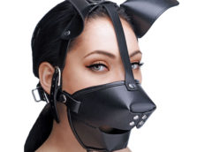 Pup Puppy Play Hood and Breathable Ball Gag