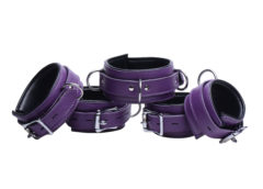 Purple 5 Piece Locking Leather Bondage Set