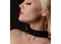 Strict Leather Luxury Locking Collar