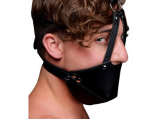 Mouth Harness with Ball Gag