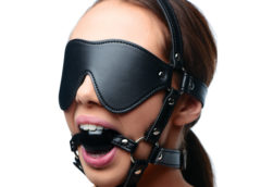 Blindfold Harness and Ball Gag