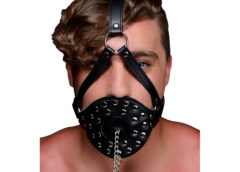 Open Mouth Head Harness