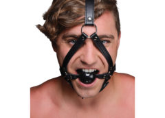 Head Harness with inch Ball Gag