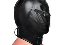 Bondage Hood with Posture Collar and Zippers