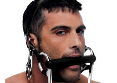 Steed Silicone Bit and Bridle Head Harness