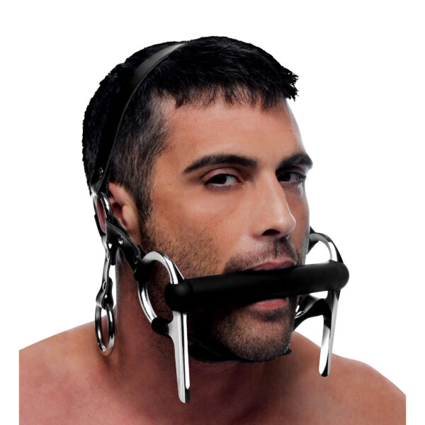 Steed Silicone Bit and Bridle Head Harness