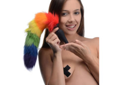 Rainbow Tail Anal Plug