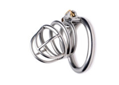 The Pen Deluxe Stainless Steel Locking Chastity Cage