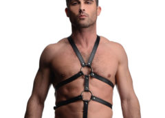 Male Full Body Harness