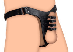 Male Chastity Harness