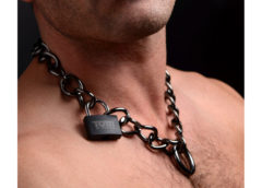 Gunmetal Collar with Lock