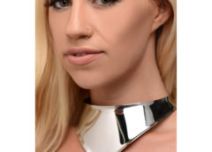 Stainless Steel Collar with Lace