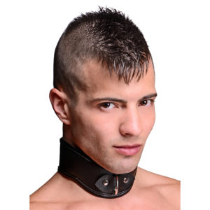 Locking Posture Collar