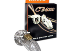 CB-6000 Male Chastity Device