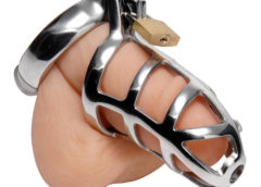 Detained Stainless Steel Chastity Cage