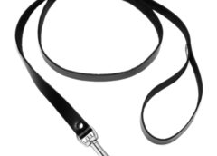 Strict Leather 4 Foot Leash