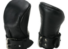 Strict Leather Deluxe Padded Fist Mitts- SM