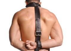 Strict Leather Neck-Wrist Restraint