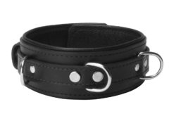 Strict Leather Premium Locking Collar