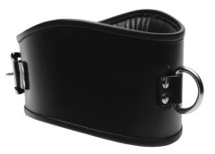 Padded Leather Locking Posture Collar